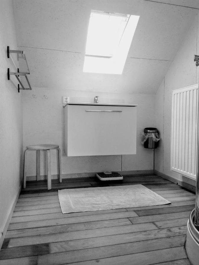 Studio Flandrien Villa Oudenaarde Esterno foto